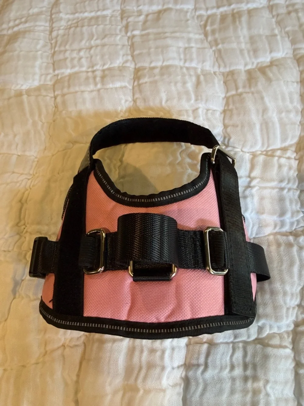 Pink Dog Harness with Black Straps